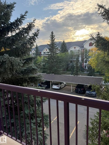 The property offers views of mature evergreen trees and residential buildings with pitched roofs, providing a serene backdrop - 331 10636 120 Street, Edmonton, AB - Outdoor With Balcony With View