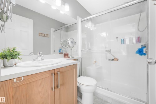 557 Orchards Boulevard, Edmonton, AB - Indoor Photo Showing Bathroom