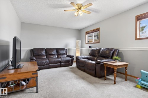 3004 39 Avenue, Edmonton, AB - Indoor Photo Showing Living Room