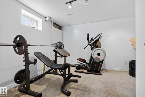 3004 39 Avenue, Edmonton, AB - Indoor Photo Showing Gym Room