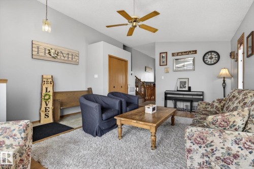 3004 39 Avenue, Edmonton, AB - Indoor Photo Showing Living Room