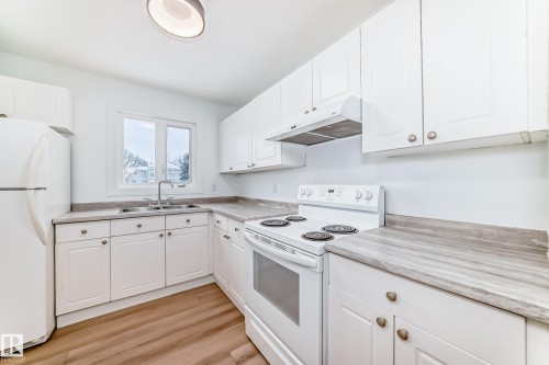 9D Castle Terrace, Edmonton, AB - Indoor Photo Showing Kitchen With Double Sink