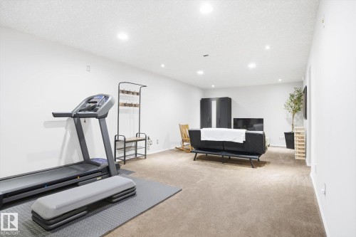 10222 73 Street, Edmonton, AB - Indoor Photo Showing Gym Room