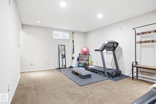 10222 73 Street, Edmonton, AB - Indoor Photo Showing Gym Room