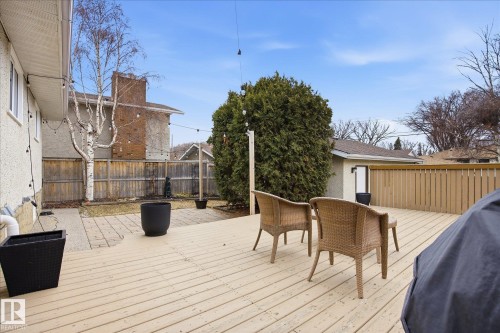 Spacious backyard featuring a multi-level wood deck, a patio area with pavers, a mature birch tree, established evergreen shrubs, and a privacy fence - 10222 73 Street, Edmonton, AB 