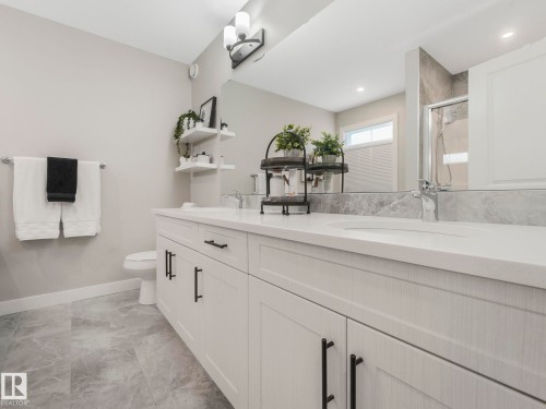 22139 80 Avenue, Edmonton, AB - Indoor Photo Showing Bathroom
