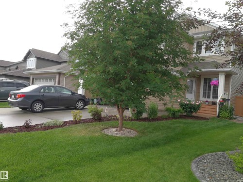 The property features a well-maintained lawn, mature trees, and landscaping around the front of the home - 1330 114B Street, Edmonton, AB - Outdoor
