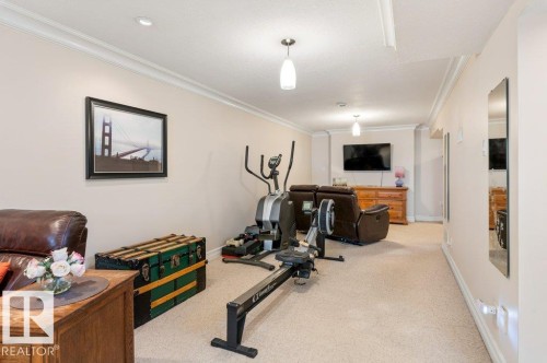 25 Mount Royal Drive, St. Albert, AB - Indoor Photo Showing Gym Room