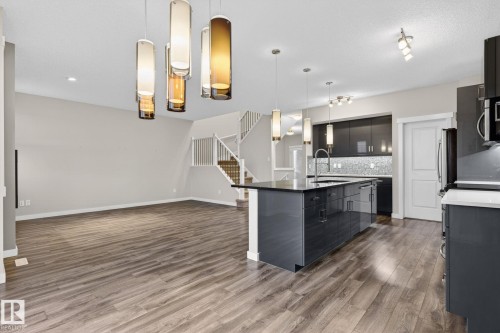 20620 131 Avenue, Edmonton, AB - Indoor Photo Showing Kitchen