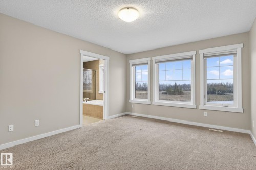 20620 131 Avenue, Edmonton, AB - Indoor Photo Showing Other Room