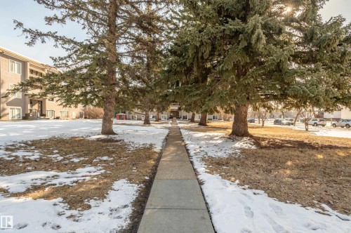 The property is set amidst mature trees and features a concrete pathway leading towards the building entrance - 12 6805 112 Street, Edmonton, AB - Outdoor With View