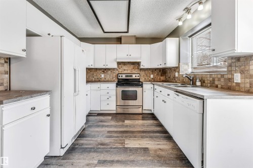 3824 48 Street, Edmonton, AB - Indoor Photo Showing Kitchen With Double Sink