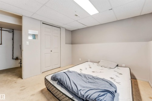 3824 48 Street, Edmonton, AB - Indoor Photo Showing Bedroom