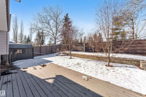 3824 48 Street, Edmonton, AB - Outdoor With Deck Patio Veranda