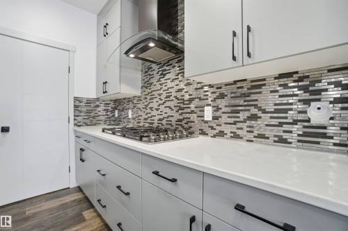 3420 Checknita Terrace, Edmonton, AB - Indoor Photo Showing Kitchen With Upgraded Kitchen