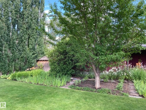 The property features a lush green lawn, mature trees, and a landscaped garden with various plants and white flowering bushes - 9715 141 Street Nw, Edmonton, AB - Outdoor