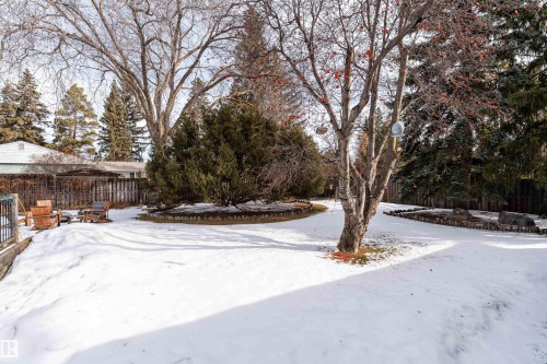 The property features an expansive yard with a snow-covered lawn, mature trees, and evergreen shrubs - 9715 141 Street Nw, Edmonton, AB - Outdoor