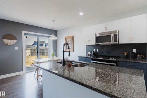6825 Cardinal Link Link, Edmonton, AB - Indoor Photo Showing Kitchen With Double Sink With Upgraded Kitchen