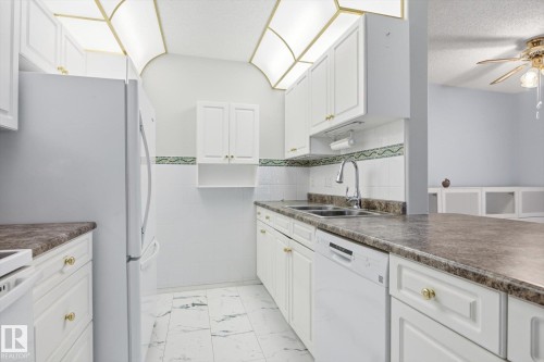 126 10511 42 Avenue, Edmonton, AB - Indoor Photo Showing Kitchen With Double Sink