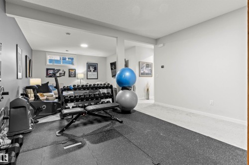 185 Redwing Wynd, St. Albert, AB - Indoor Photo Showing Gym Room
