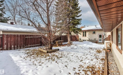 Expansive yard featuring a mature tree, a picnic table, and a wooden fence - 18315 68 Avenue, Edmonton, AB - Outdoor