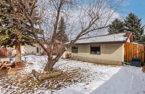 The property features a spacious yard with mature trees and a snow-dusted lawn - 18315 68 Avenue, Edmonton, AB - Outdoor