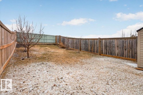 The property features a fenced yard with a shed and trees - 16656 14 Avenue, Edmonton, AB - Outdoor
