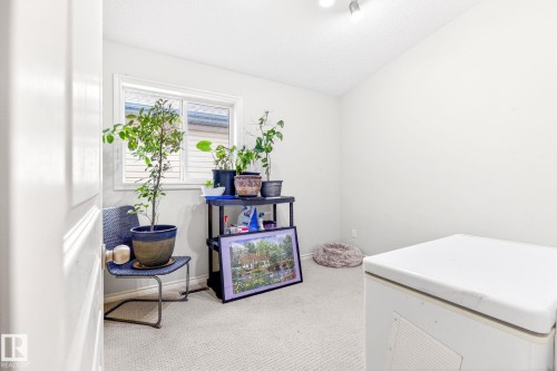 This room features a window providing natural light, light-colored walls, and carpet flooring - 20147 48 Avenue, Edmonton, AB - Indoor Photo Showing Other Room