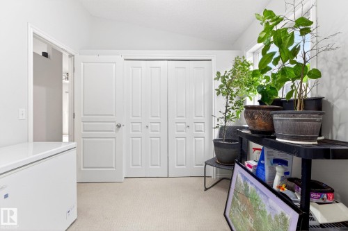 This room features carpeted flooring, white walls, and a window providing natural light - 20147 48 Avenue, Edmonton, AB - Indoor