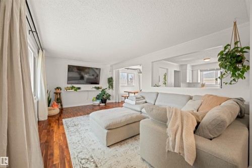 2008 89 Street, Edmonton, AB - Indoor Photo Showing Living Room