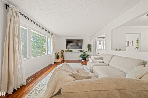 2008 89 Street, Edmonton, AB - Indoor Photo Showing Living Room