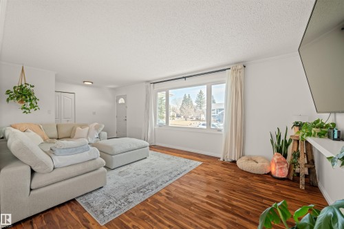 2008 89 Street, Edmonton, AB - Indoor Photo Showing Living Room