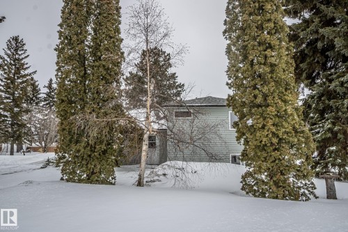 The property's exterior features light green siding and a dark grey shingle roof - 5209 49 Ave, St. Paul Town, AB - Outdoor