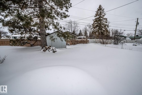 The property features an extensive yard with a mature pine tree, a wooden fence, and a storage shed - 5209 49 Ave, St. Paul Town, AB - Outdoor