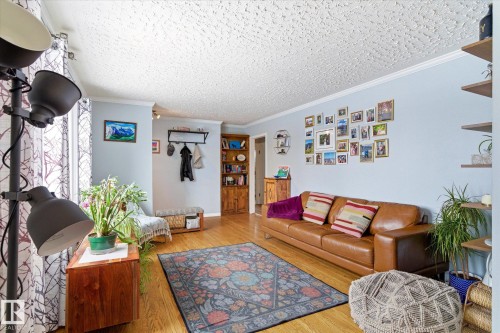 4315 105A Avenue, Edmonton, AB - Indoor Photo Showing Living Room