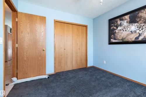 6247 162B Avenue, Edmonton, AB - Indoor Photo Showing Other Room