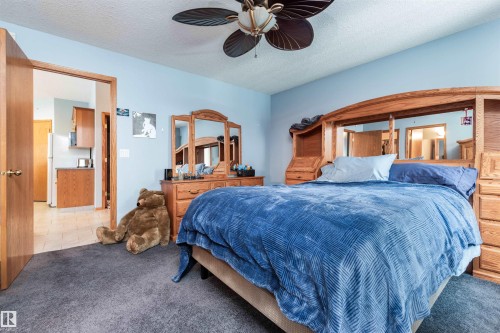 6247 162B Avenue, Edmonton, AB - Indoor Photo Showing Bedroom