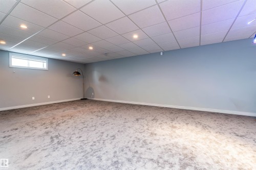 6247 162B Avenue, Edmonton, AB - Indoor Photo Showing Basement