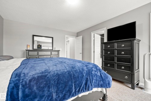 Bedroom featuring light gray walls, a textured ceiling, and carpeted flooring - 635 41 Avenue, Edmonton, AB - Indoor Photo Showing Bedroom