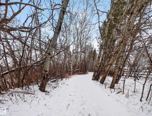 The property benefits from a nearby winding path, surrounded by a variety of mature trees and natural brush, under a clear sky - 7 85 Gervais Road, St. Albert, AB - Outdoor With View