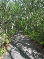 View of street - 