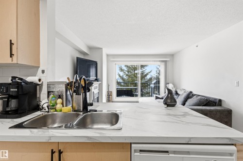 413 17003 67 Avenue, Edmonton, AB - Indoor Photo Showing Kitchen With Double Sink