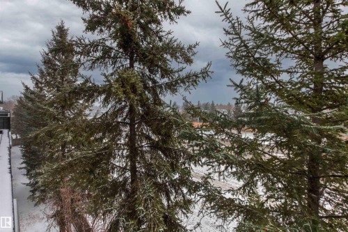 413 17003 67 Avenue, Edmonton, AB - Outdoor With View