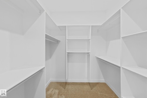 Walk-in closet with extensive built-in shelving, hanging rods, and carpet flooring - 6449 28 Avenue, Edmonton, AB - Indoor With Storage