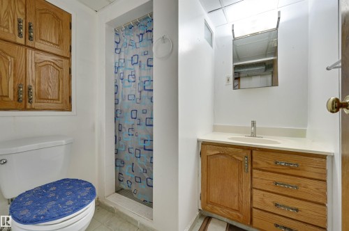 7449 83 Avenue, Edmonton, AB - Indoor Photo Showing Bathroom