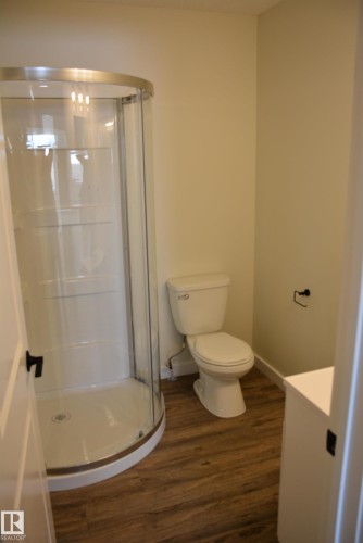 B 4313 54 Avenue, Barrhead, AB - Indoor Photo Showing Bathroom