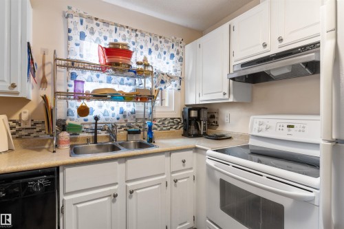 5975 40 Avenue, Edmonton, AB - Indoor Photo Showing Kitchen With Double Sink