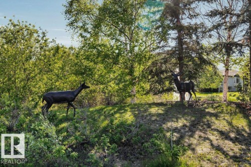 1314 George Close, Edmonton, AB - Outdoor