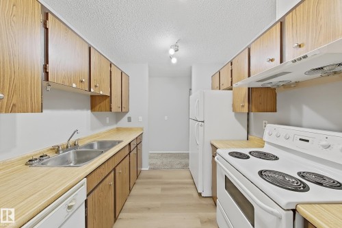 5514 93A Avenue, Edmonton, AB - Indoor Photo Showing Kitchen With Double Sink