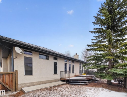 The property features a stucco exterior, a dark shingled roof, a wooden deck with railing, and a mature evergreen tree - 569 Butterworth Way, Edmonton, AB - Outdoor With Deck Patio Veranda